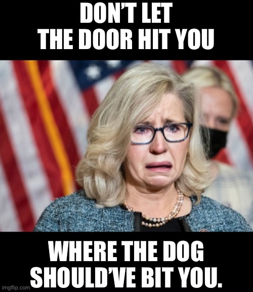 Liz Cheney Imgflip