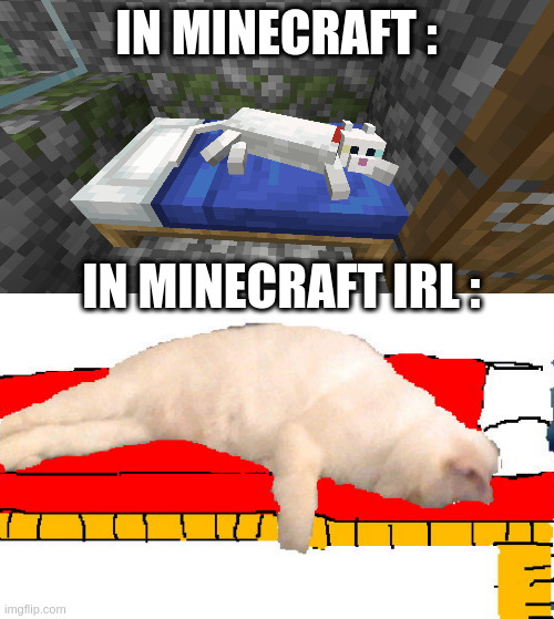 minecraft vs reality Imgflip