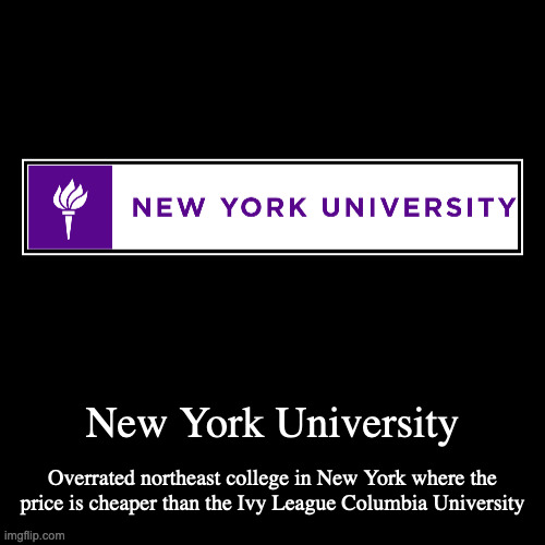 New York University Imgflip