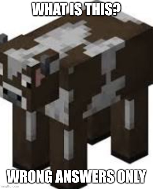 Image tagged in minecraft cow Imgflip