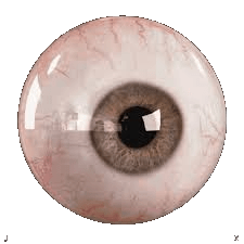 eyeball Blank Template - Imgflip