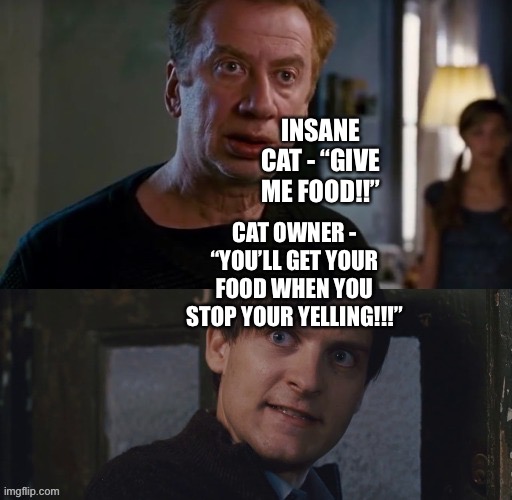 Cat Owner (Bully Maguire) gets fed up with Insane Cat (Mr. Ditkovich
