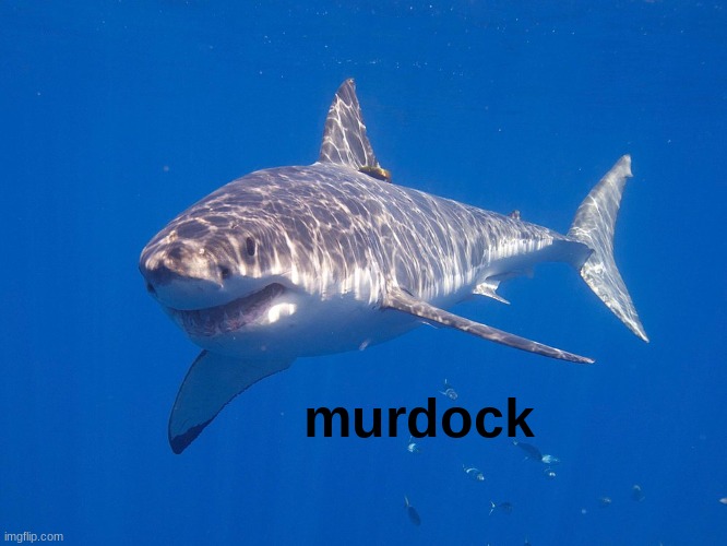 murdock Imgflip