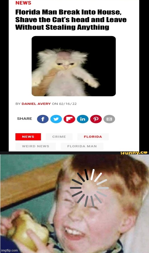 Image tagged in roasted kid Imgflip