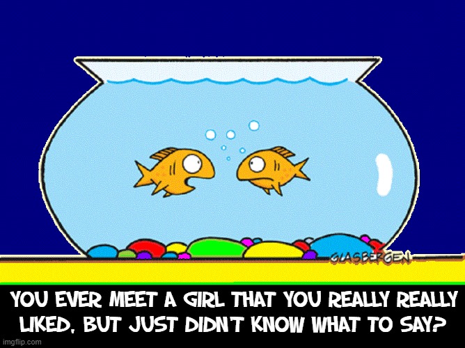 Goldfish Bowl Jokes Dating in the Fish World Imgflip