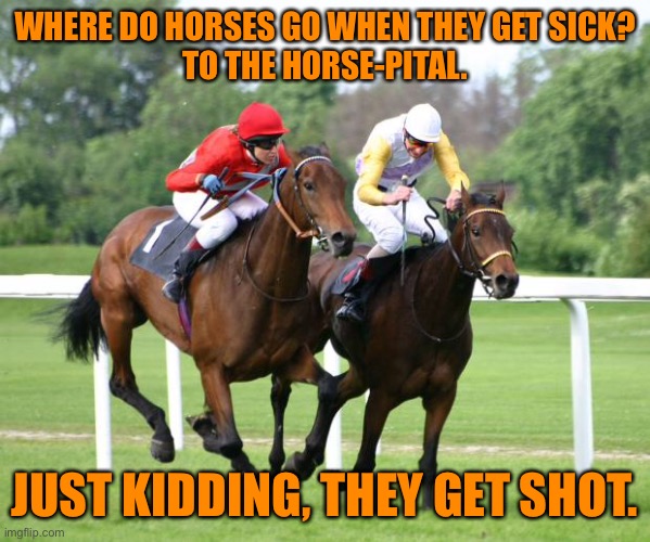 Horse racing Imgflip
