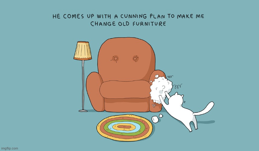 A Cat's Way Of Thinking Imgflip