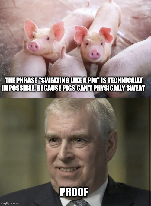 Image tagged in prince andrew,pigs Imgflip