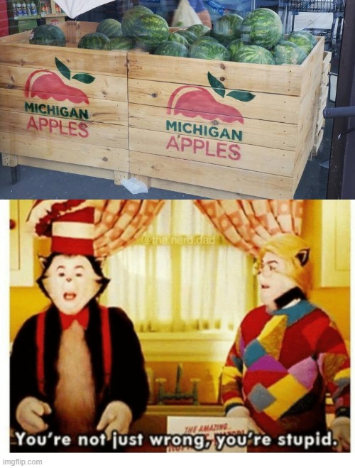 Those don't look like apples Imgflip