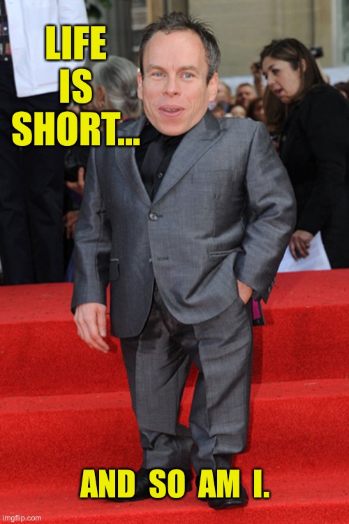 Warwick Davis Imgflip