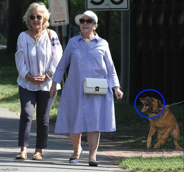 Doggo knows it's Killary Imgflip