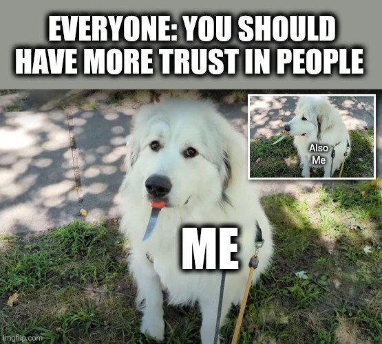 Image tagged in memes,dog,knife,trust in people Imgflip