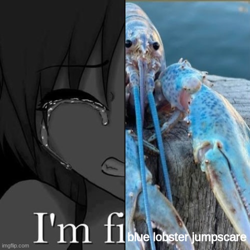 I'm fi Imgflip