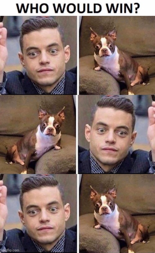 Staring Contest Championship Imgflip