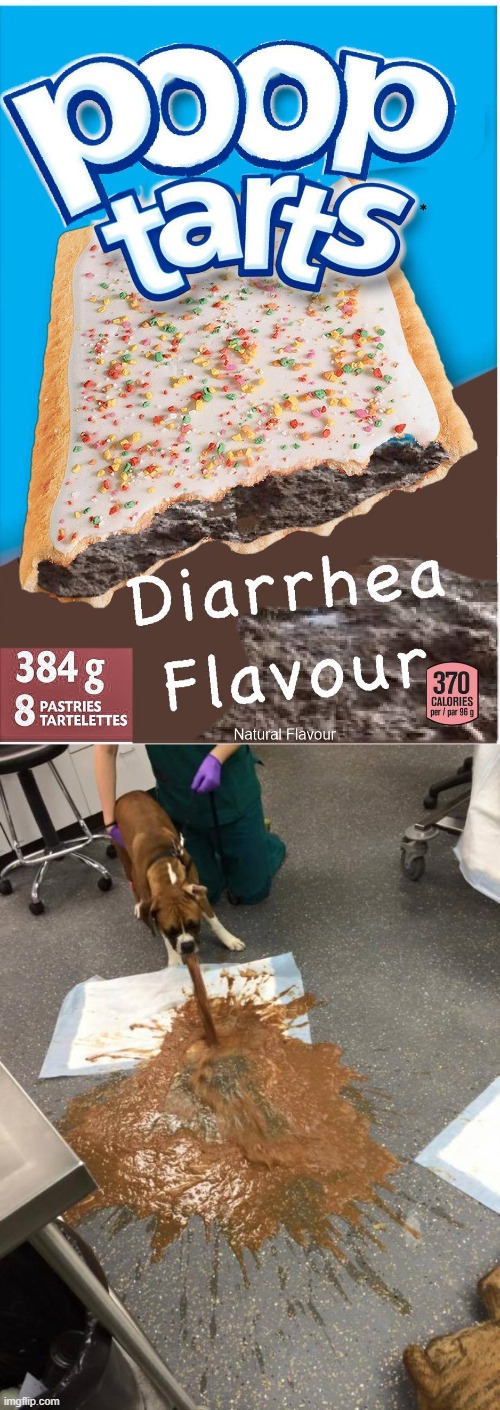 Image tagged in dog vomit Imgflip