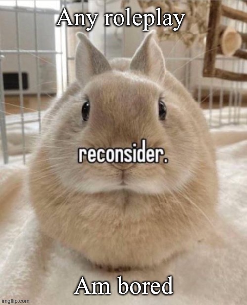 reconsider Imgflip