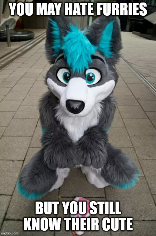 eh, why not post this Imgflip