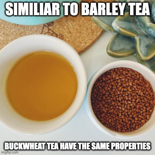 Buckwheat Tea Imgflip