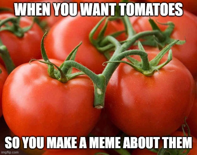 Tomatoes For The Win Imgflip