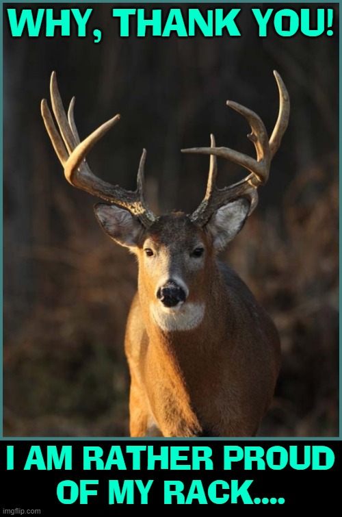 deer Memes & GIFs Imgflip