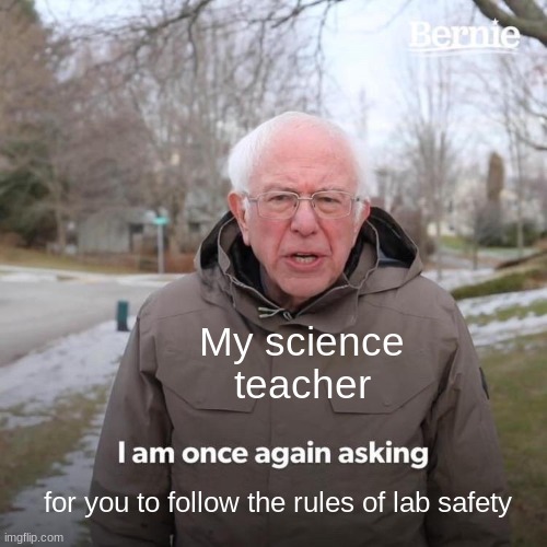 Bernie I Am Once Again Asking For Your Support Meme Imgflip