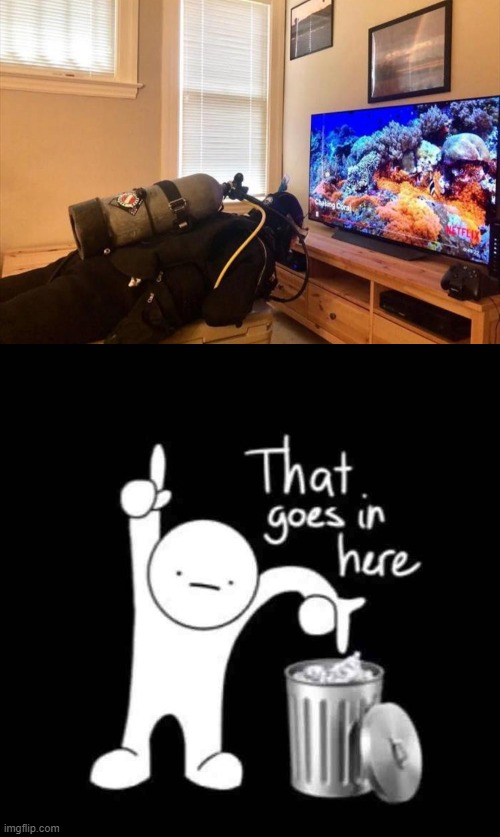 that goes here Imgflip