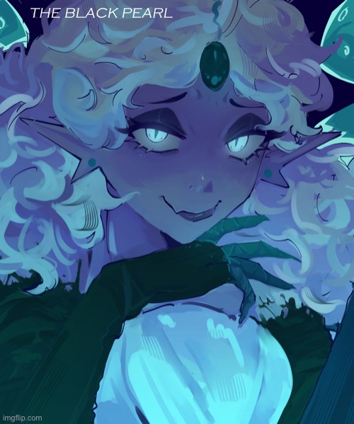 What do you think of this? Imgflip