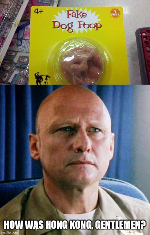 Top Gun Commander Imgflip