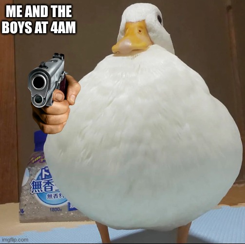 Duck with a pistol Imgflip