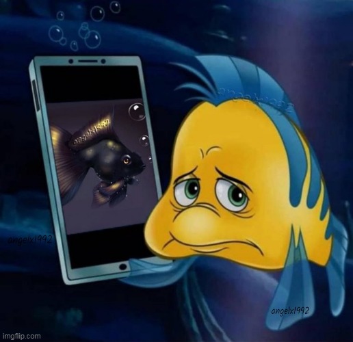 Image tagged in the little mermaid,flounder,cartoon,live action movie