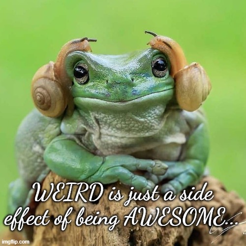 Side Effect... Imgflip