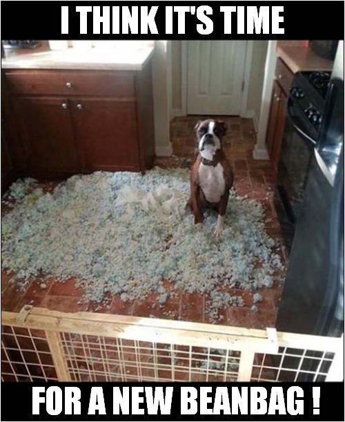 A Dogs Request ! Imgflip