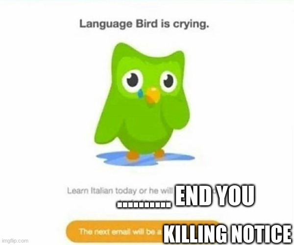 duolingo owl when you don't pratice italian. Imgflip