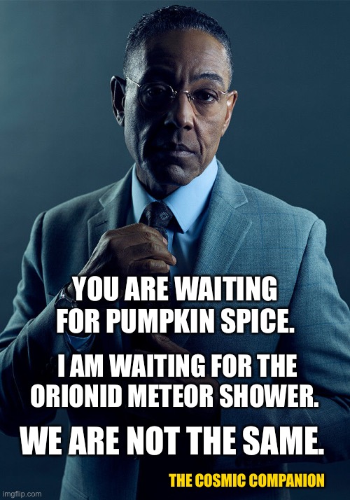 Gus Fring Orionid Meteor Shower Imgflip