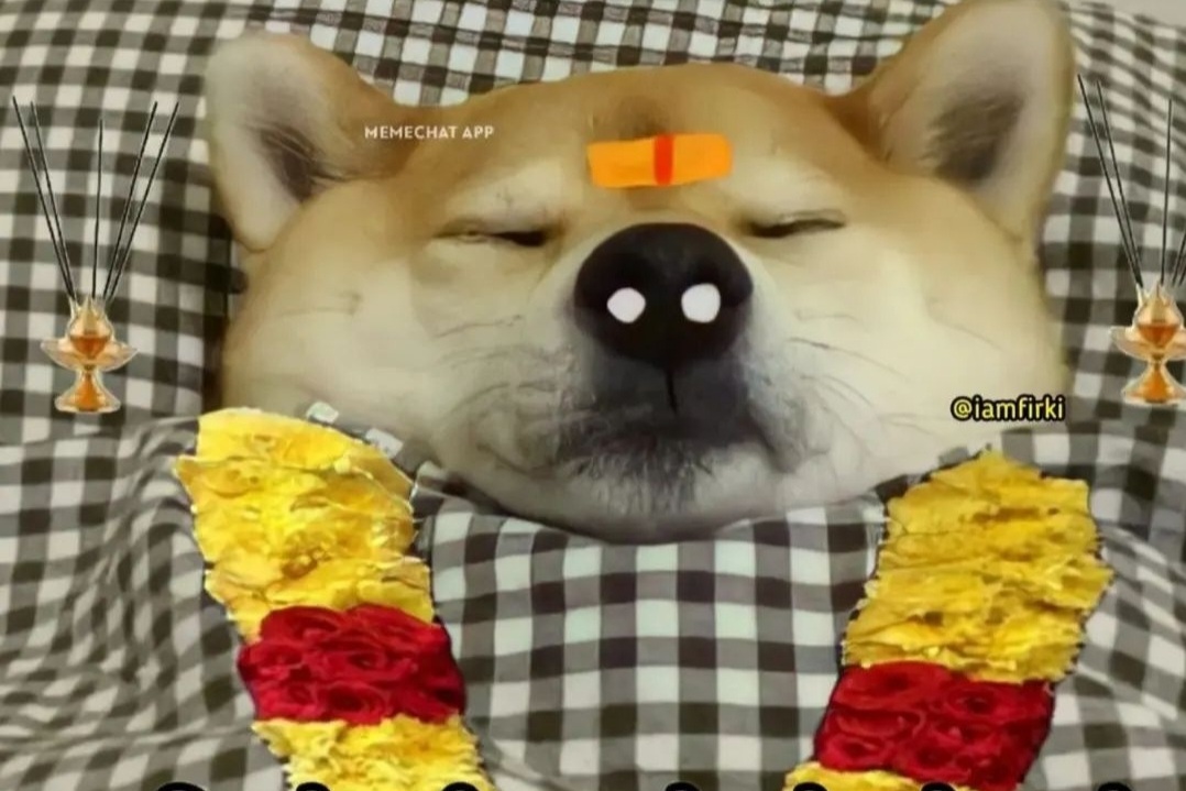 Doge dead indian version Memes Imgflip