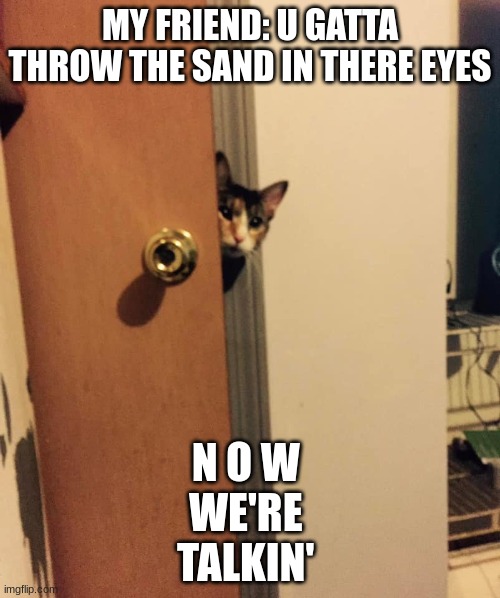 Cat peeking around door Imgflip