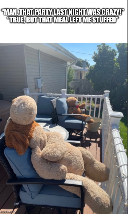 Dog and bear Imgflip