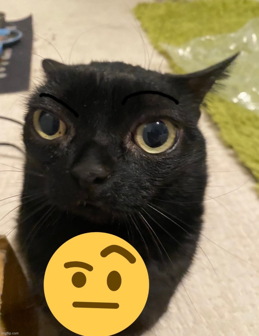 i drew her eyebrows lol Imgflip