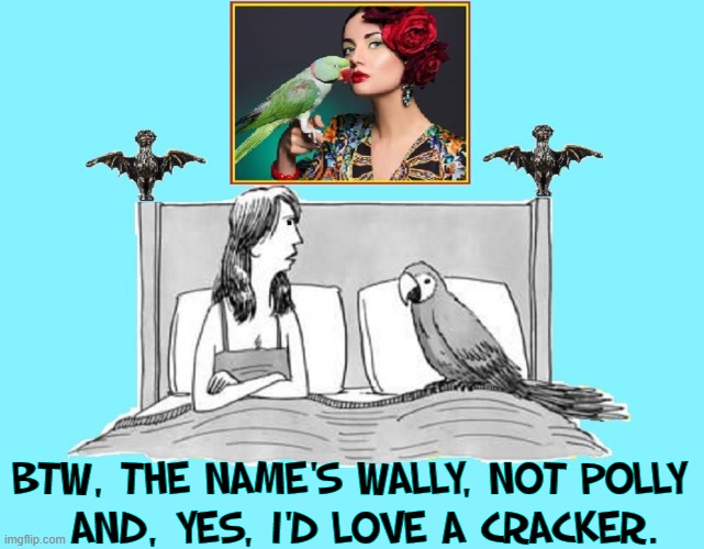 "Polly wants a cracker." Imgflip