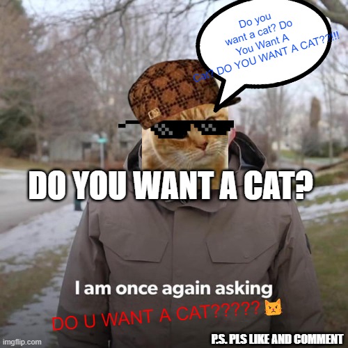 DO YOU WANT A CAT? Imgflip