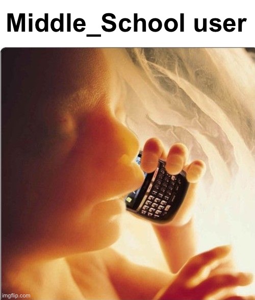 Image tagged in baby in womb on cell phone fetus blackberry,memes