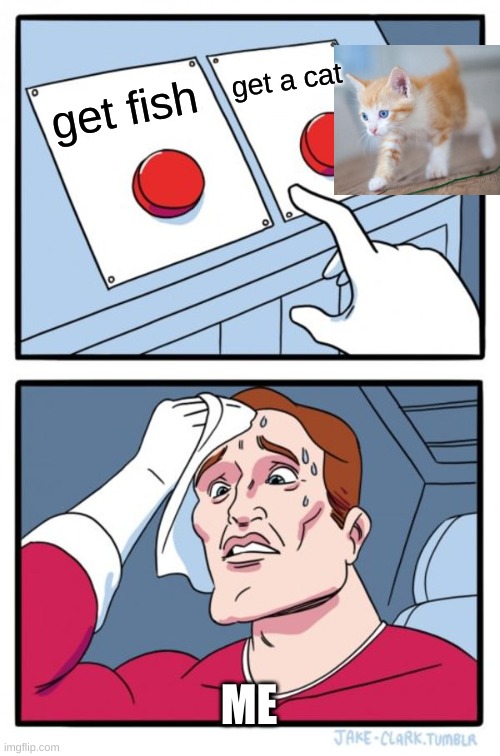 Two Buttons Meme Imgflip