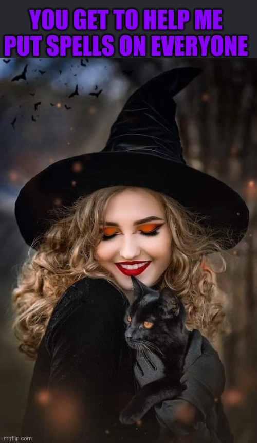 THE WITCHES BLACK CAT Imgflip