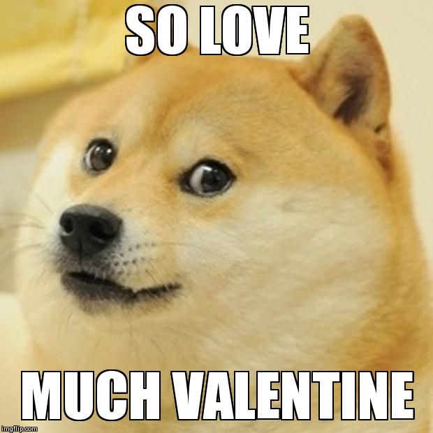 Doge Meme Imgflip