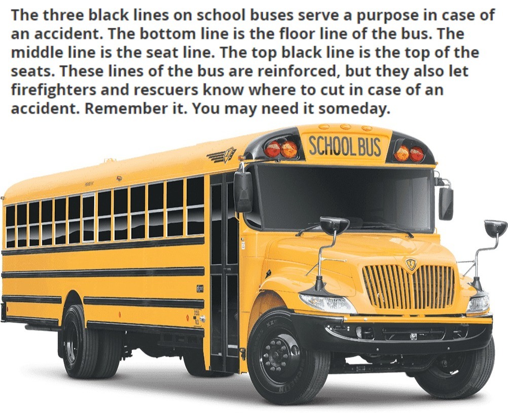 School Bus Safety Lesson Imgflip