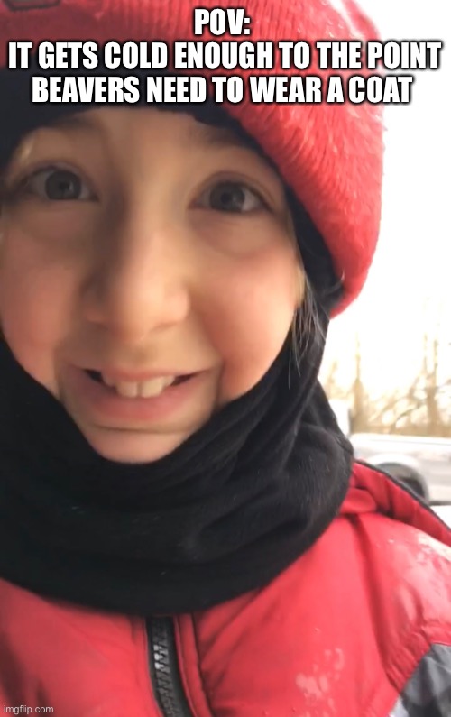 POV it gets cold enough to the point beavers have to wear a coat Imgflip