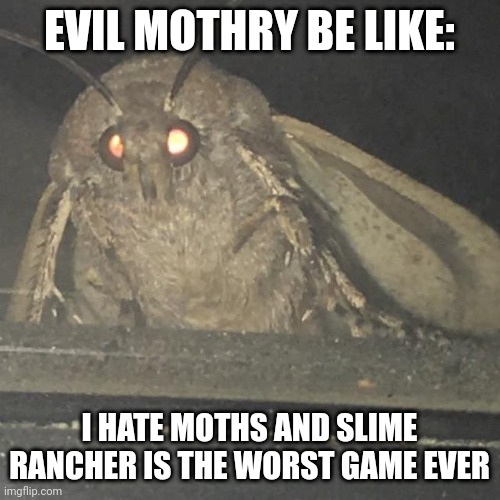 Moth lamp Imgflip