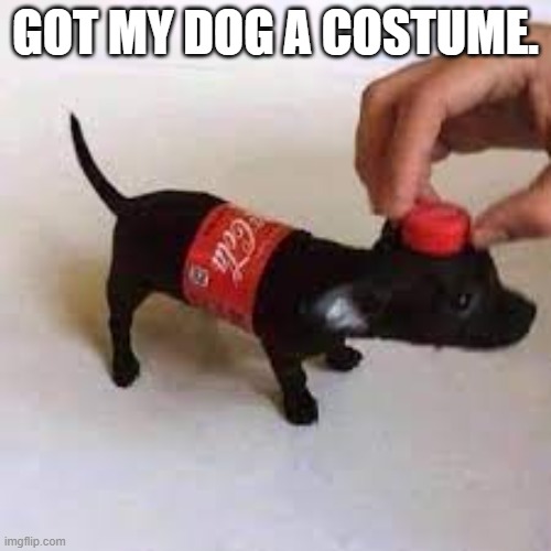 My coke dog Imgflip