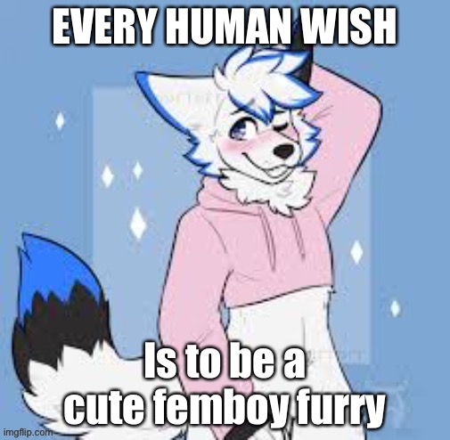 Femboy furry - Imgflip