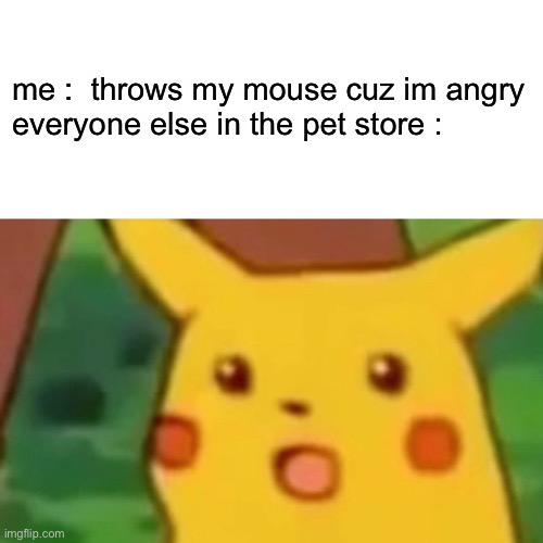 Surprised Pikachu Meme Imgflip